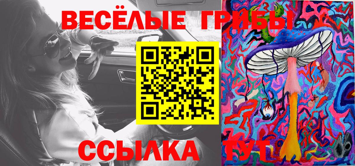 Галлюциногенные грибы прущие грибы  Галлюциногенные грибы мицелий  Унеча  Вход с VPN 
