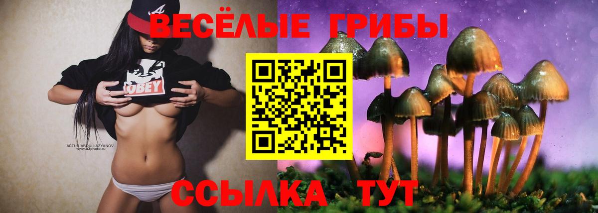 Галлюциногенные грибы ЛСД Унеча